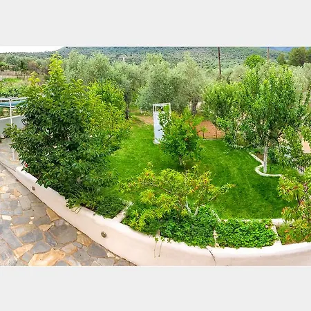 Oliva Studio בית נופש